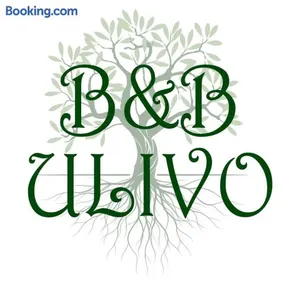 Ulivo - Image 1