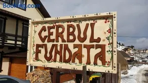 CASA CERBUL - Image 2