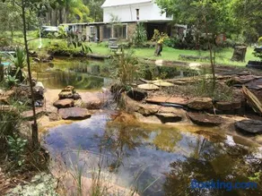 Magic Bush Stay Yamba Hinterland by Tiny Away - Image 2