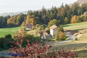 La Petite Fleur - Image 2