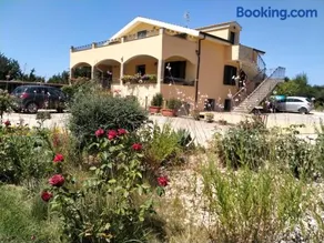 Le Rose - Image 1