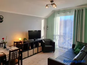 Azyl Puck - Image 1