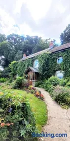 Kingsley Cottage Bed & Breakfast - Image 2