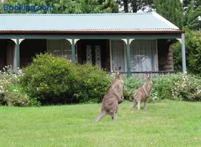 Cedar Lodge Cabins - Image 1