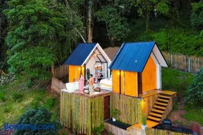 Dandelion Cabin - Image 4