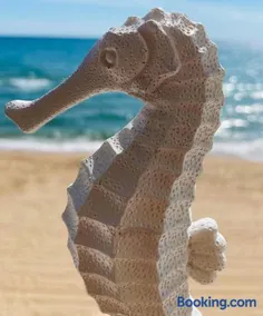 Caballito de Mar - Image 1