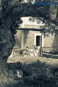 Encanto y Hadas - Image 5