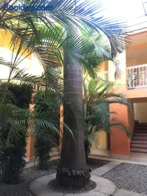 Hotel Tierra del Sol Oaxaca - Image 2