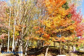 Chalet nature avec ruisseau, ilot prive - Image 3