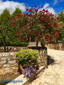 Mouses Apartments-Kardamyli - Image 4
