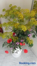 Porta Matera B&b - Image 3