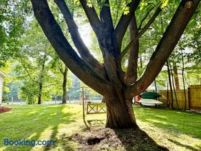 Family Lake House Waterfront - Image 1