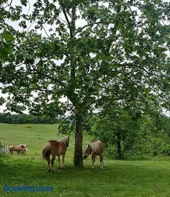 Monte Termine Country House - Image 1