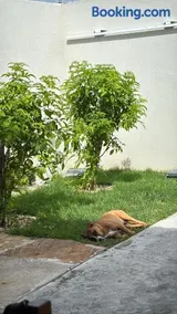 Casa de Eliz - Image 2