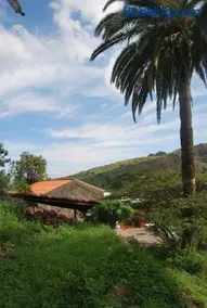 Casas Rurales Hermigua - Image 2