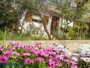 Apartman KRISTINA and FREE PARKING - Image 5