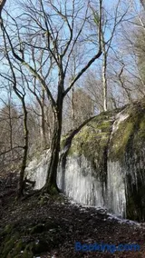 Sängerwiese - Image 2