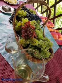 Wine & Nature & Tour - Image 2