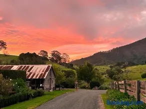 Mountain View Tilba Tilba - Image 4