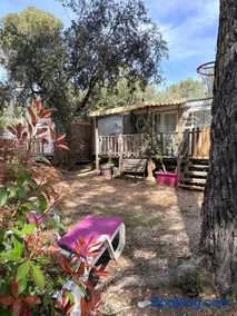 Camping la sainte baume - Image 4
