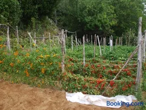 Agriturismo Nonno Tobia - Image 1