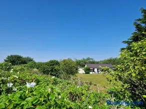 Amalia - Image 1