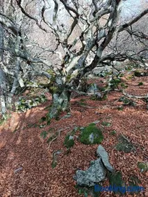 CHAMBRE D'HÔTE Confort Nature Ballades et rando - Image 2