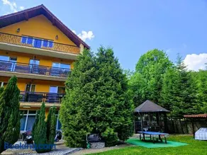 Vila Raluca - Image 2