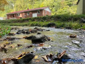Deer Run Creek Cottage - Image 3