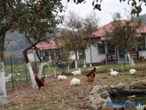 Desculti prin iarba- la 6,6 km de centrul Piatra Neamt - Image 3