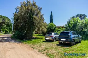 Moscatello - Gavorrano - Image 1