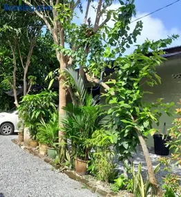 Hidden Homestay - Image 2