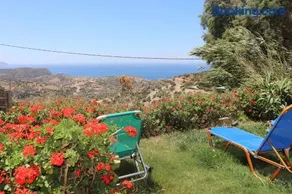 MARCO - Image 2