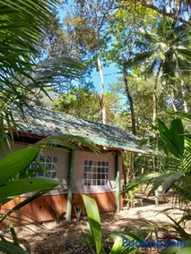 Fully Furnished FAMILY JUNGLE TENT, Latino Glamping Paquera - Image 4