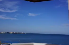 Las Palmeras - Image 1