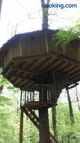 Les cabanes du lac du Der - Image 3