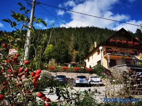 Casa Codrilor - Image 2