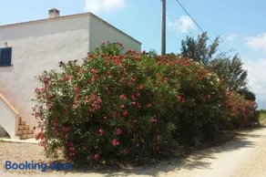 Pequeña casa rural en el centro del Delta del Ebro - Image 1