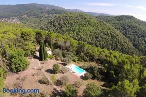 Le Rayol - Image 2