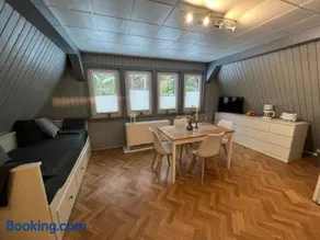 Ferienhaus Rennsteighütte 2 - Image 4