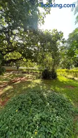 A Casa da lua - Image 5