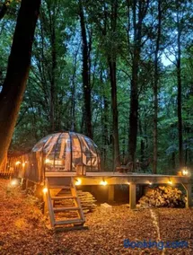 Le Dôme de Namur - Une nuit insolite dans les bois - Image 5