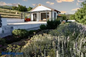 Sunny Hill - Image 2