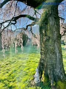 Paradiso sul lago - Image 3