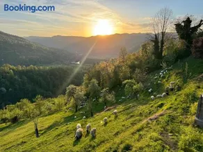 Apartma na podeželju - Slovenia Nature - Image 2