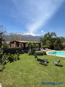 Il palmento - Image 3