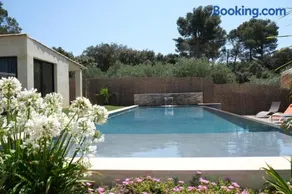 Slpendid villa with heated pool and Jacuzzi for 12 people in Saint-chamas - Image 1