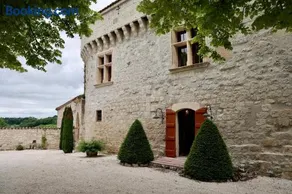 Château de Pleneselve - Image 3