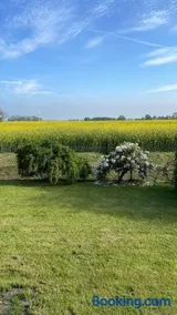 Nordseeküste am Deich mit schönem Garten - Image 3