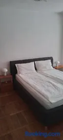 The Home - Image 1